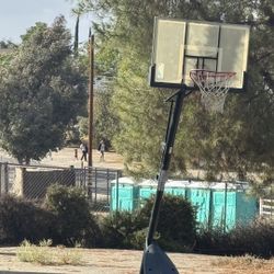 Portable Basketball Hoop
