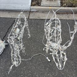 Free - Walnut Avenue East And Fourth In Farmingdale