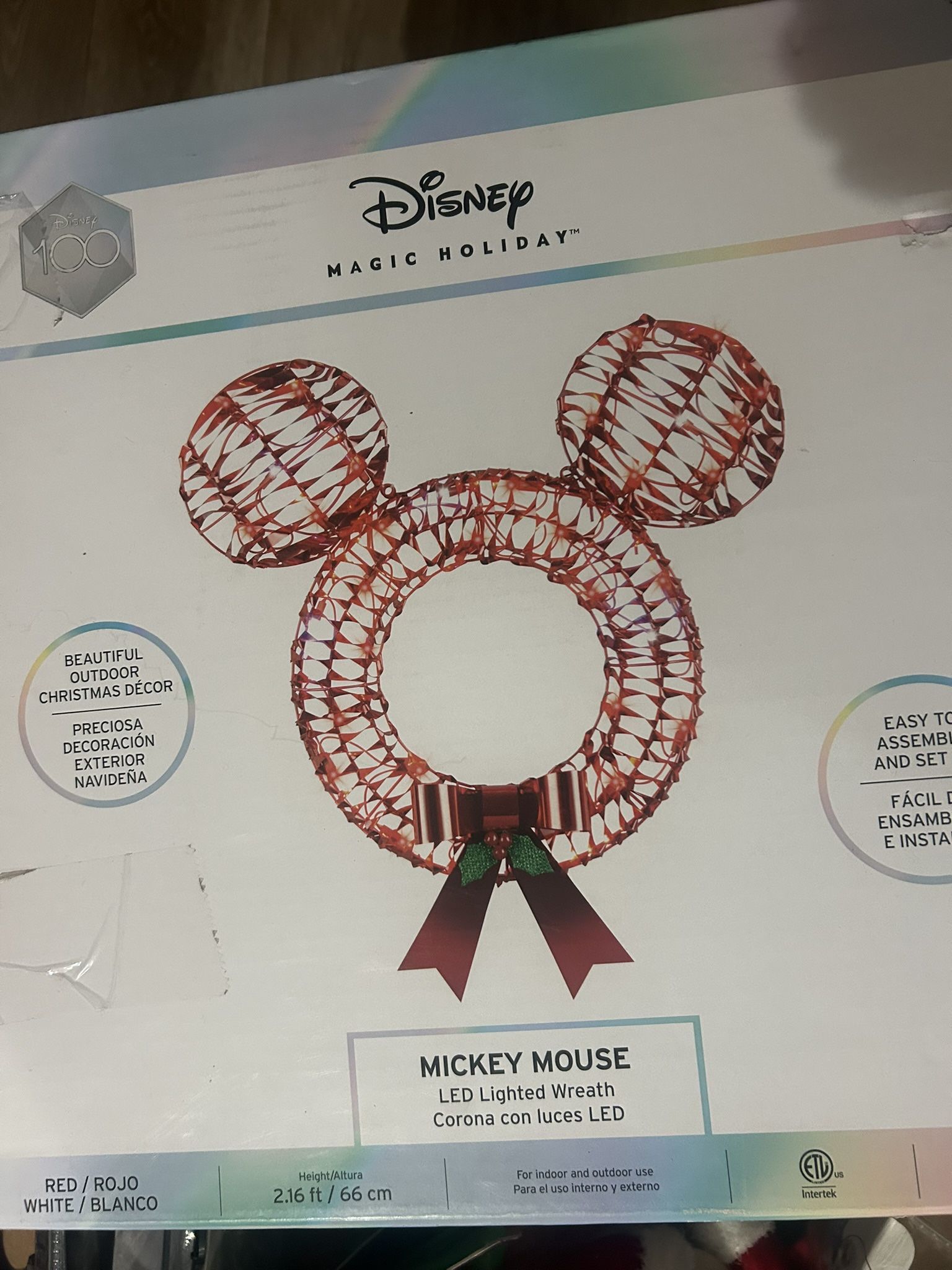 Disney Light Up Christmas Mickey Wreath