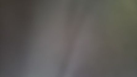 Sabanas king y California king diferentes colores