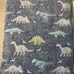 Dinosaur Throw Blankets