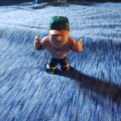 WWE Action Figure