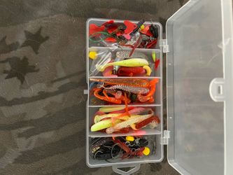 Box full of bass worms