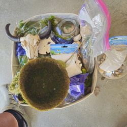 Fish Tank Items 