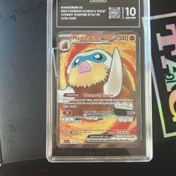 Mamoswine Ex #174/159 journey together graded 10 slab