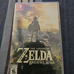 The Legend of Zelda Breath of the Wild on Nintendo Switch