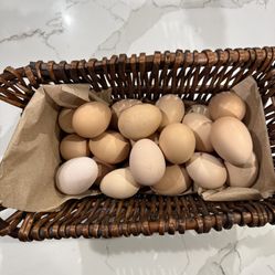 Organic Fresh  Eggs