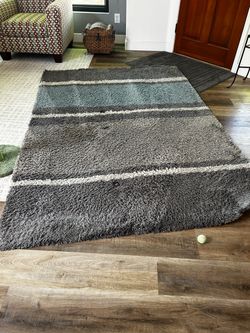 Rug 8x10 no stains $40.00