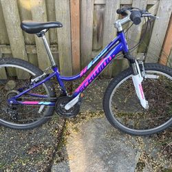 Schwinn Girl’s Bike