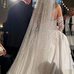 Cathedral Sequin And Pearl Veil