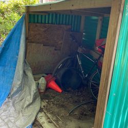 Shed
