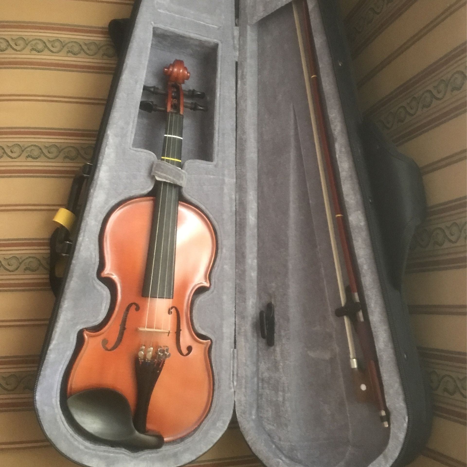 Violin