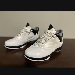 JORDAN 2009 'WHITE METALLIC SILVER'