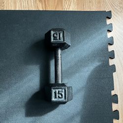 15lb Dumbbell 