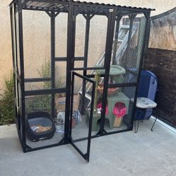 catio