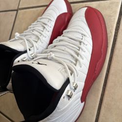 Jordan 12 