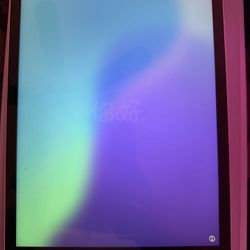 iPad 9th Generation 256gb