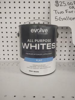 Single Gallons of Paint