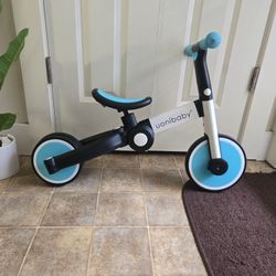 Trike Bike 