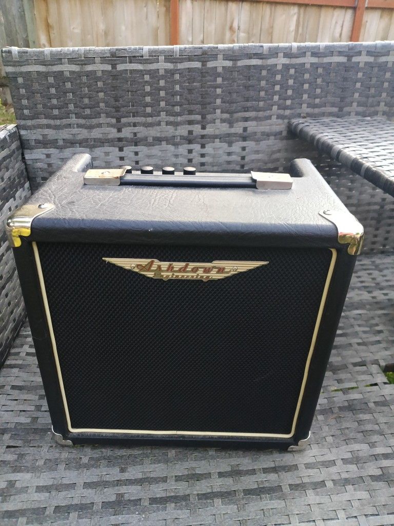 Guitar Speaker