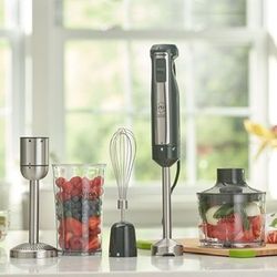 PH 4-in-1 Immersion Blender.