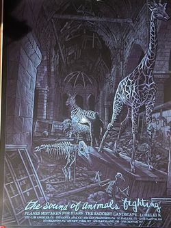 Rad beautiful poster  sounds of animals fighting