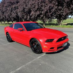2013 Mustang Coupe 