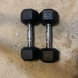 Two 10lb Weights 