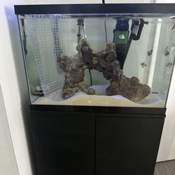 20 Gallon Fish Tank