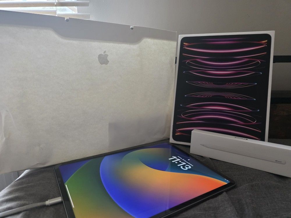 Apple Ipad Pro 12.9 Inch 256gb 