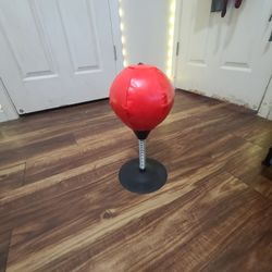 Speed Punching Bag