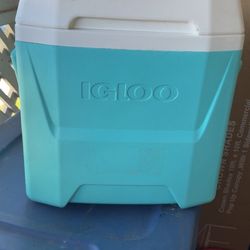 Igloo Cooler