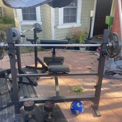 Gym Set /Weights. SOLD AS A SET ONLY