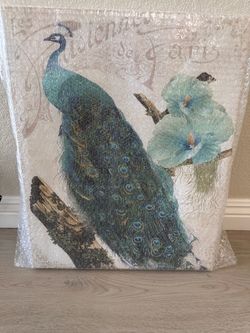 Peacock Wall Art Canvas Print