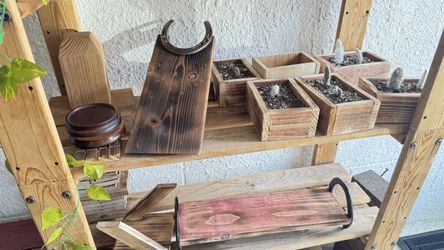 Cedar wood gifts, plants of succulents