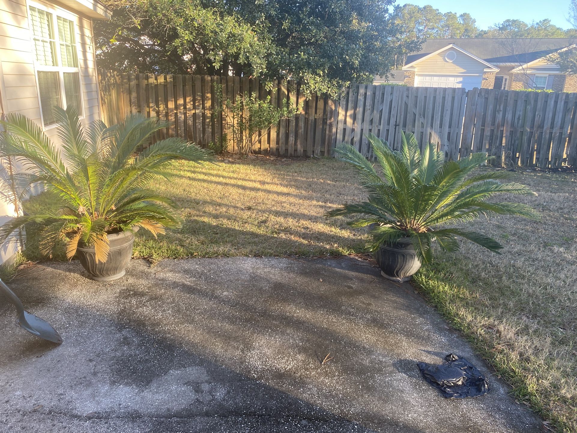 Outside Plants