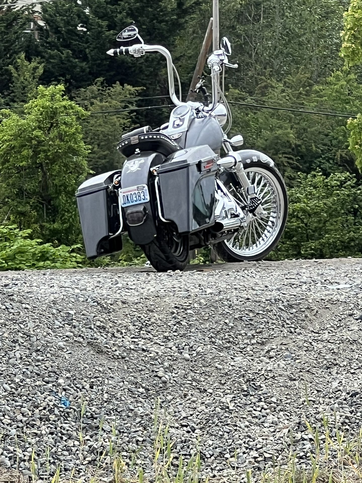 2000 Harley Davidson Softail