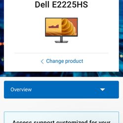 Dell 22 Monitor 