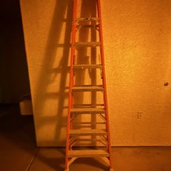 8 Ft Werner Ladder
