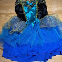 Adult Peacock Or Princess Costume