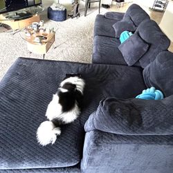 Large Sectional Sofa in Blue, In 2 Pieces, with 2 Pillows 