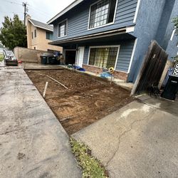 Free Soil