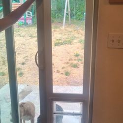 Doggy Door 