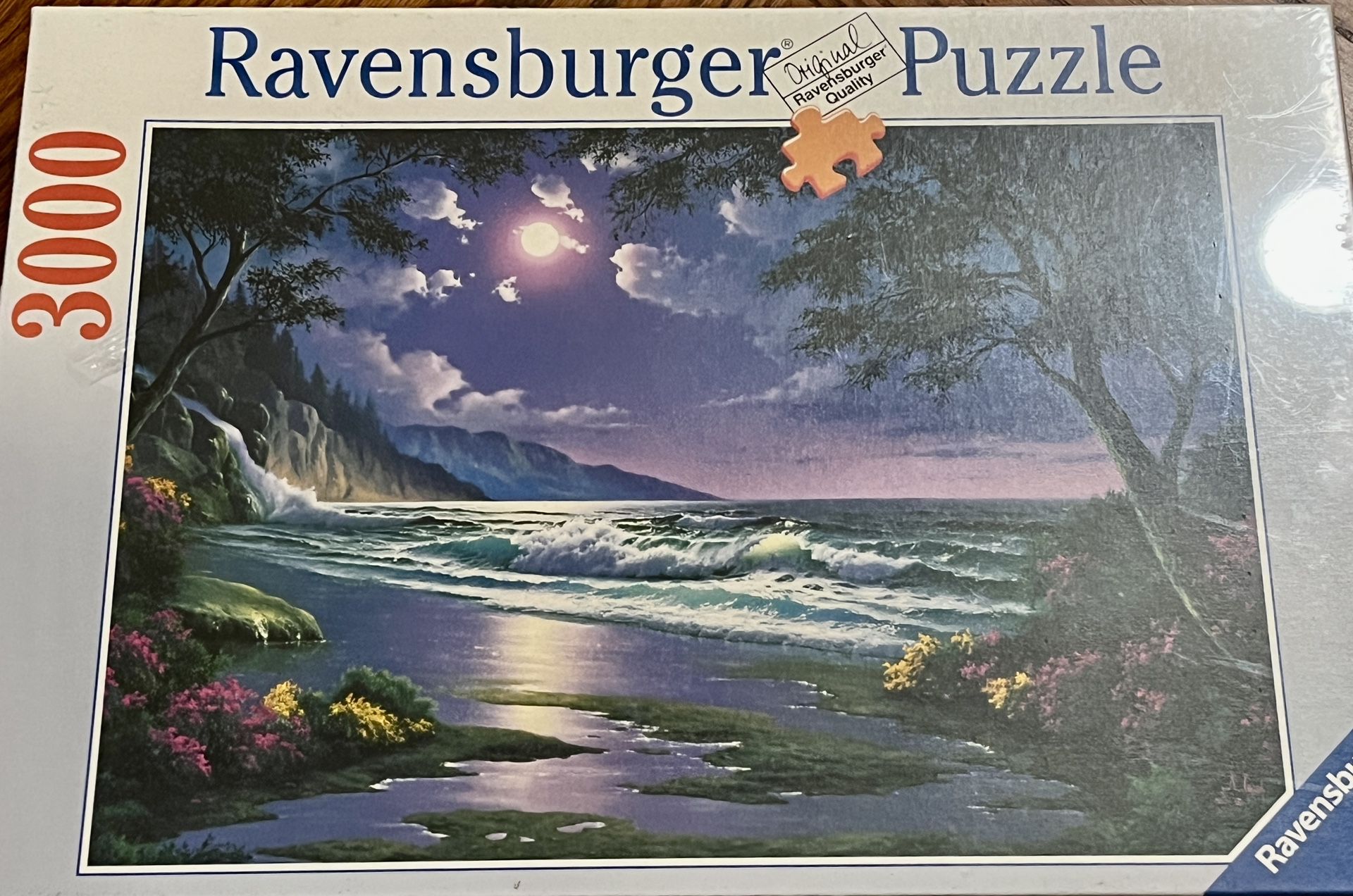 Ravensburger Puzzle 3000 Piece Moonlight Beach Anthony Casay 1997 