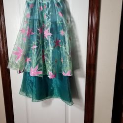 Disney FROZEN Fever Elsa Costume. Size 5-6.