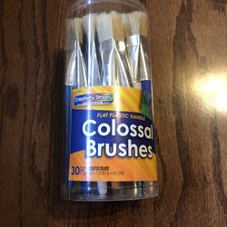 30 pc colossal brushes