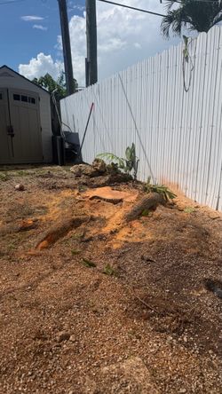 Stump Grinding