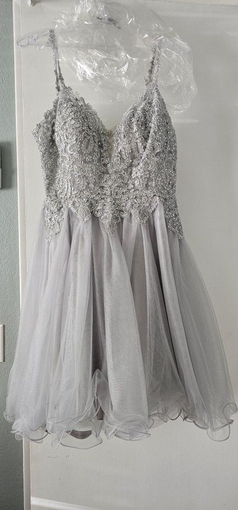 Silver HOCO Or Prom Dress 