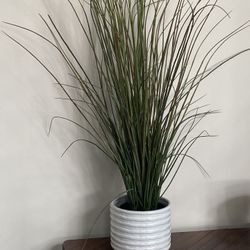 IKEA FE Artificial Potted Plant H40”with Different Ceramic Pot Options