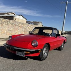 Alfa Romero 1987 Spider